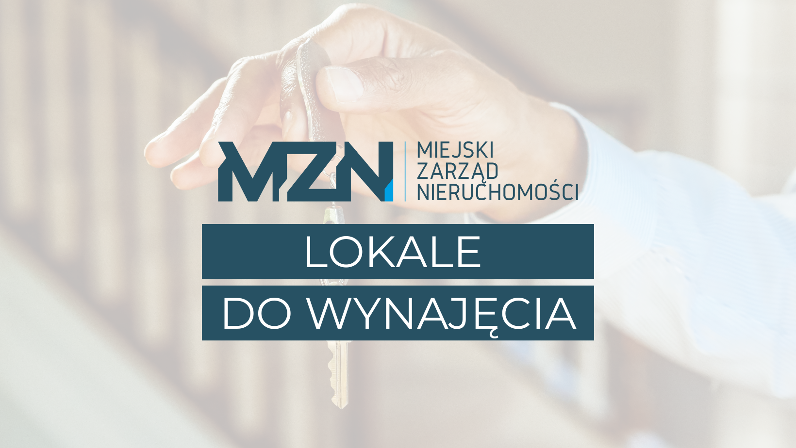 Lokale użytkowe do wynajęcia – grudzień 2024